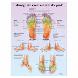 Poster Massage des zones réflexes des pieds