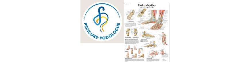 STICKERS ET PLANCHES