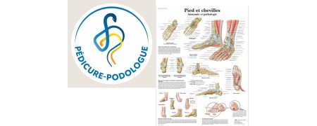 STICKERS ET PLANCHES